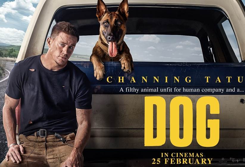 Dog (2022) Tamil Dubbed Movie HD 720p Watch Online